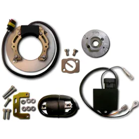 Allumage Stator Rotor Boitier CDI Bobine Honda XL250R XL250S XR250 XR250R XR500 XR500R