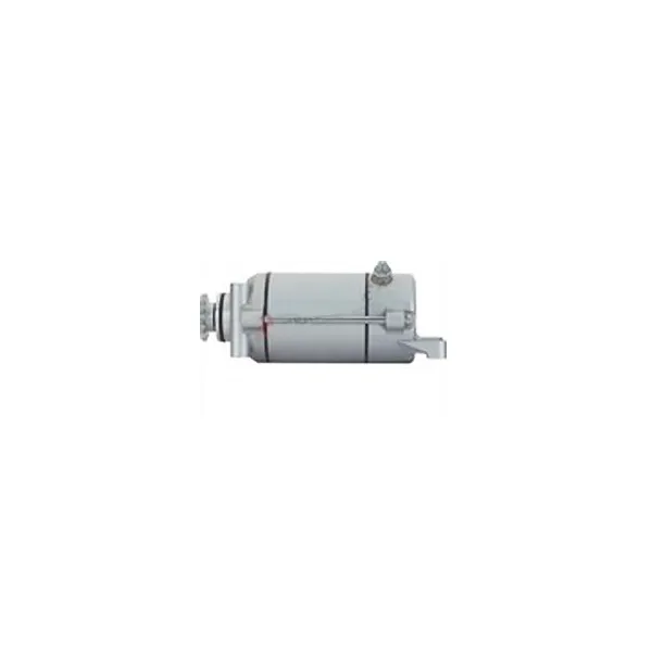 Starter Motor-Honda-125 Rebel-CM125