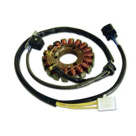 Alternateur Stator Kawasaki KLX400R Suzuki DRZ400