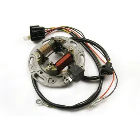 Stator-Kawasaki-KX85-KX100-Suzuki-RM100 