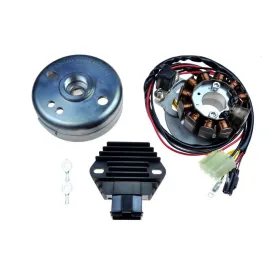 Kit Stator Rotor Regulator Gas Gas SM125 EC200 EC250 SM250 EC300 Wild HP 300