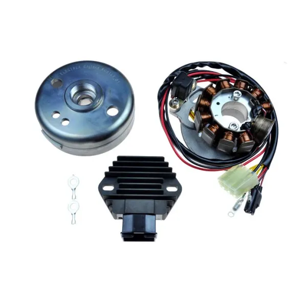 Kit Stator Rotor Regulator Gas Gas SM125 EC200 EC250 SM250 EC300 Wild HP 300