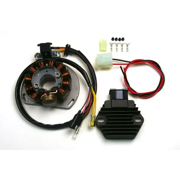 Stator Régulateur GasGas EC125 SM125 EC200 EC250 SM250 EC300 Wild HP300