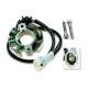 Stator-KTM-400SX-450SMR-450SX-450XC-525SMR-525SX