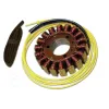 Alternateur Stator Suzuki SV650