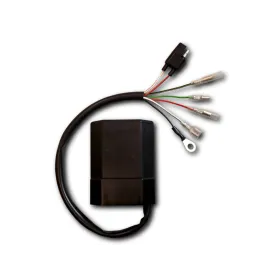 Boitier CDI Suzuki RM125