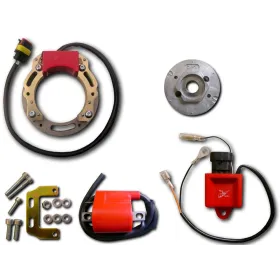 Allumage Stator Rotor CDI Bobine Peugeot NK7 XPS XP6 XR6 XR7