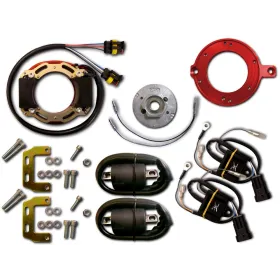 Allumage Alternateur Stator Rotor Boitier CDI Bobine Yamaha TZ250