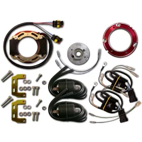 Allumage Stator Rotor CDI Bobine Yamaha RD500 RZ500   