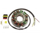 Stator-Beta-125-200-250-270 Techno-GasGas-TXT PRO300-Vor 530