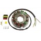 Stator-Beta-125-200-250-270 Techno-GasGas-TXT PRO300-Vor 530