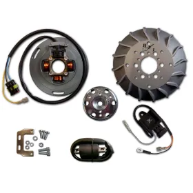 Allumage Stator Rotor Boitier CDI Bobine Vespa 125 PX Vespa 150 PX Vespa 150 Sprint