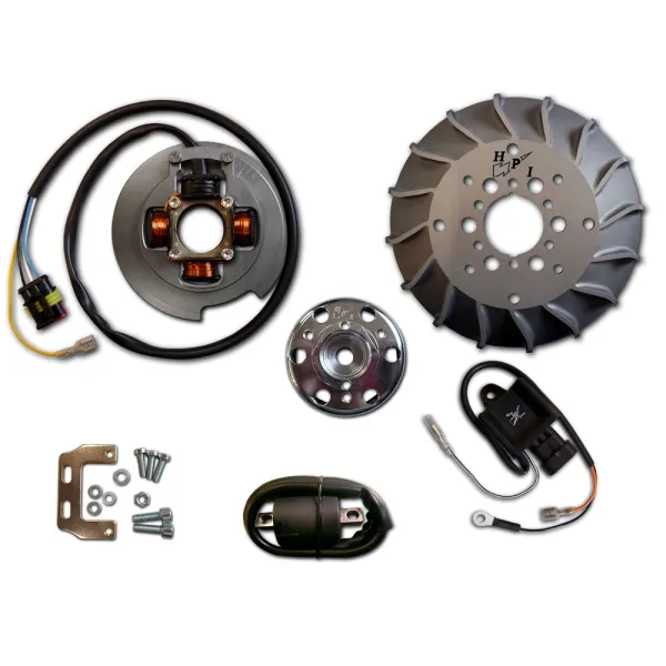 Allumage Stator Rotor Boitier CDI Bobine Vespa 50 PK Vespa 80 PK Vespa 100 PK Vespa 125 PK