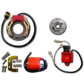 Allumage Stator Rotor Boitier CDI Bobine Vespa 50 Ciao