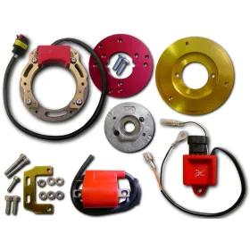 Allumage Piaggio Diesis Fly Free Liberty NRG NTT Quartz Sfera Typhoon Zip Vespa 50 LX Vespa 50 LXV Vespa 50 S