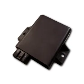 CDI-Yamaha-250 Bear Tracker