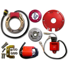 Ignition-Stator-Rotor-CDI-Bobine-Suzuki LT80 