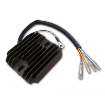 Regulator Rectifier-Norton-Commando-F1-Rotary