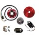 Ignition-Stator-Rotor-CDI-External Ignition Coil-Aprilia-Amico-Gulliver-Rally-Scarabeo-Sonic-SR50
