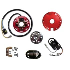 Allumage-Stator-Rotor-CDI-Bobine-Suzuki-RMX50-TS50X 