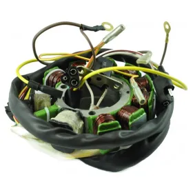 Stator-Polaris-Magnum 500
