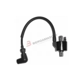 External Ignition Coil Aprilia RS250  