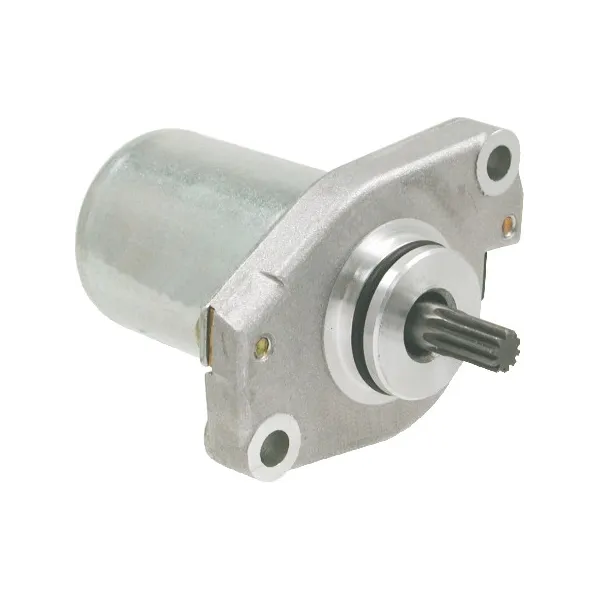Starter Motor-Aprilia-Amico-SR50-Fantic-Big Wheel-Italjet-Ascout-Bazooka-Pista-Reporter-Scoop-Yankee