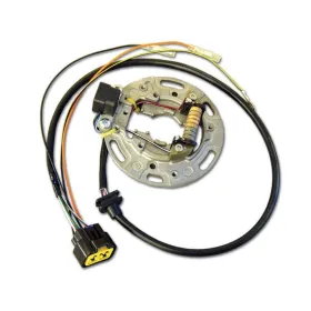 Stator Allumage Kawasaki KX85 KX100 Suzuki RM100