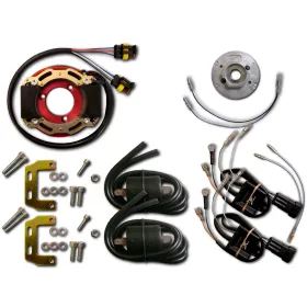 Allumage Stator Rotor Bobine CDI Suzuki RG500