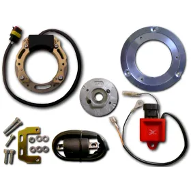 Allumage Stator Rotor CDI Bobine KTM 250EGS 250EXC 250MX 250SX 300EGS 300EXC 300MXC 300SX