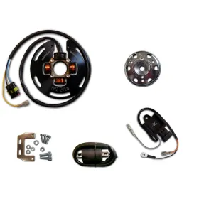 Allumage Stator Rotor CDI Bobine KTM 250EGS 250EXC 250MX 250SX 300EGS 300EXC 300MXC 300SX