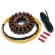 Stator-Honda-CRM250AR