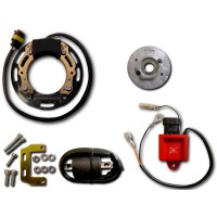 Allumage Stator Rotor Boitier CDI Bobine Yamaha YZ125