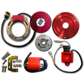 Allumage Stator Rotor Boitier CDI Bobine HT Aprilia SR125 SR150