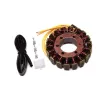 Stator-Yamaha-FZ6 Fazer