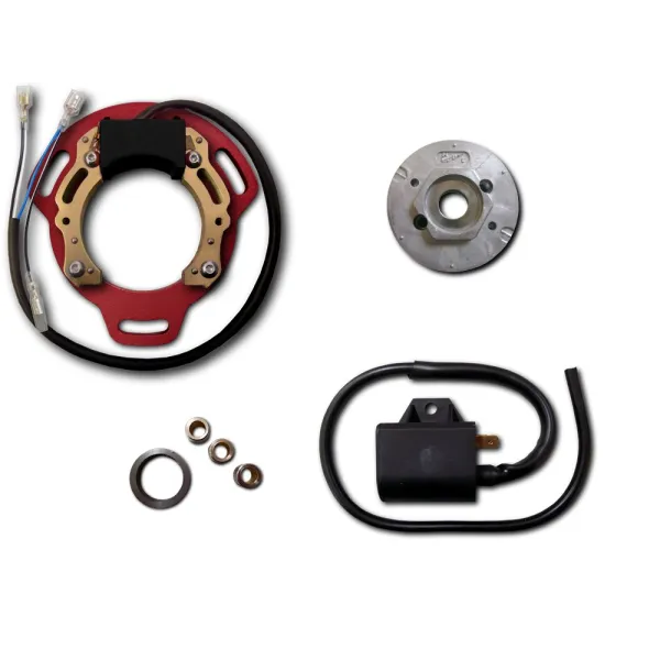 Ignition-Triumph-Tiger Cub-T20-T205 