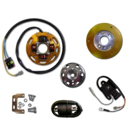 Allumage Stator Rotor Boitier CDI Bobine HT Suzuki AY50 Estilete Zillion
