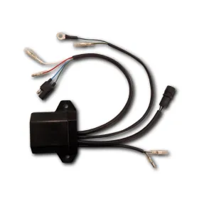 Boitier CDI Allumage Honda RS125R 