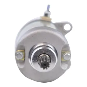 Starter Motor-Honda-TRX250 Fourtrax Recon