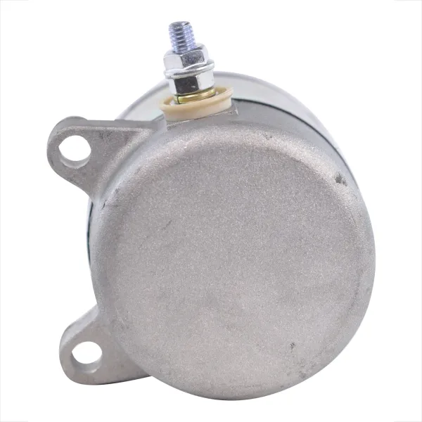 Starter Motor-Honda-TRX250 Fourtrax Recon