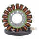 Stator-Triumph-Daytona 955i