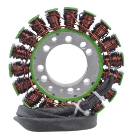 Stator-Triumph-Tiger 1050-Speed Triple 1050-Sprint ST1050