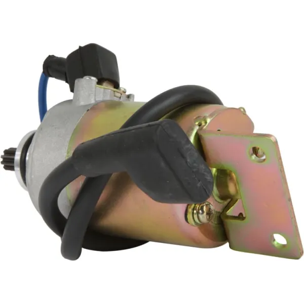 Starter Motor-Goes-220 Cobra