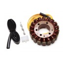Alternateur Stator Kawasaki ZX1200 Ninja ZX12R