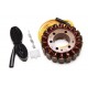 Alternateur Stator Kawasaki ZX1200 Ninja ZX12R