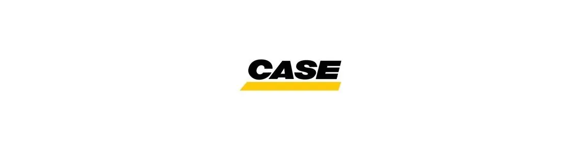 Alternateur Case
