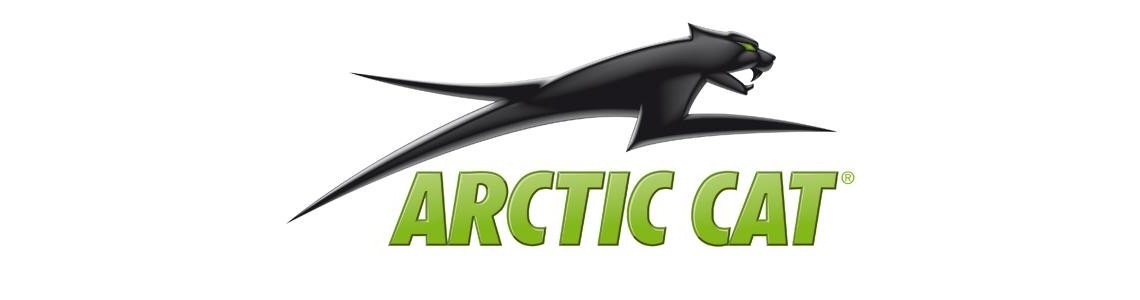 300 ARCTIC CAT 