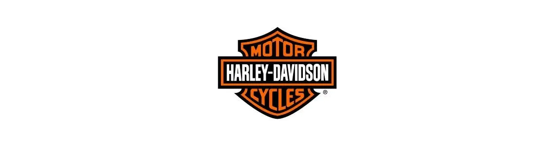 HARLEY DAVIDSON