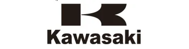 KAWASAKI SSV UTV